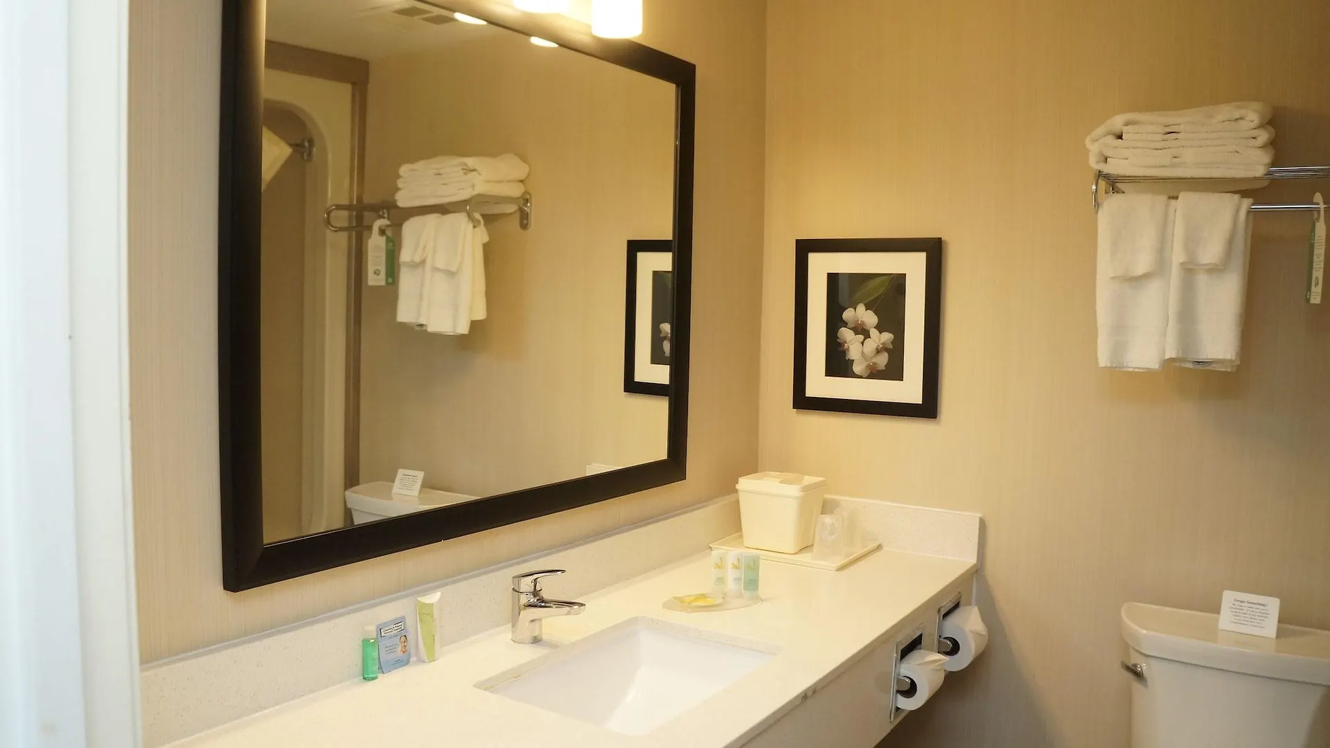 Quality Inn Airport West Mississauga